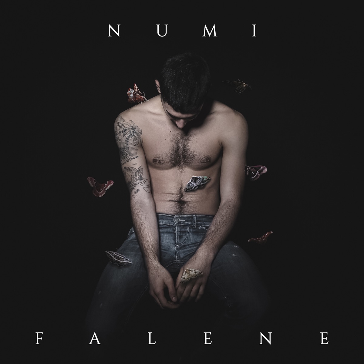Falene by Numi & Depha Beat album cover