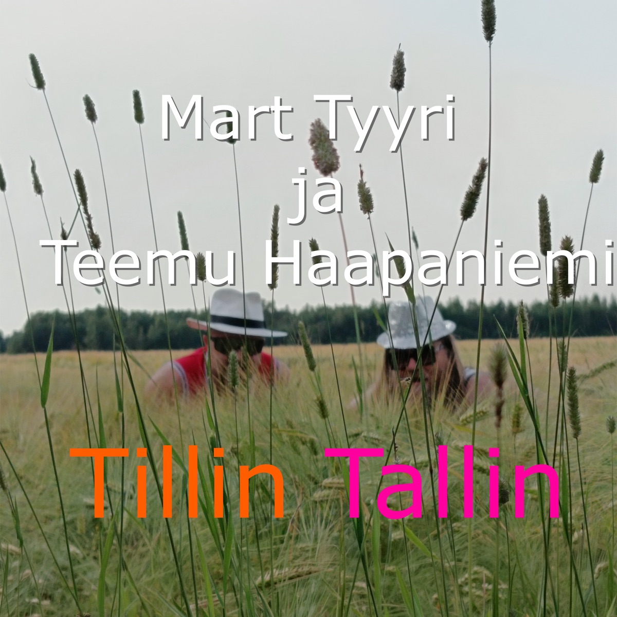 Tillin Tallin - Single by Mart Tyyri & Teemu Haapaniemi album cover