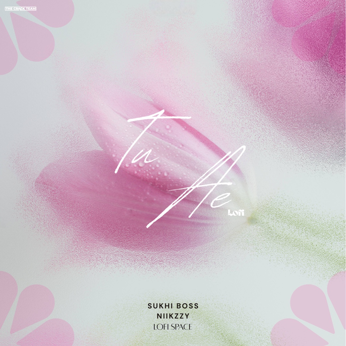 Tu Ae (Lofi) - Single by Sukhi Boss, Niikzzy & Lofi Space album cover