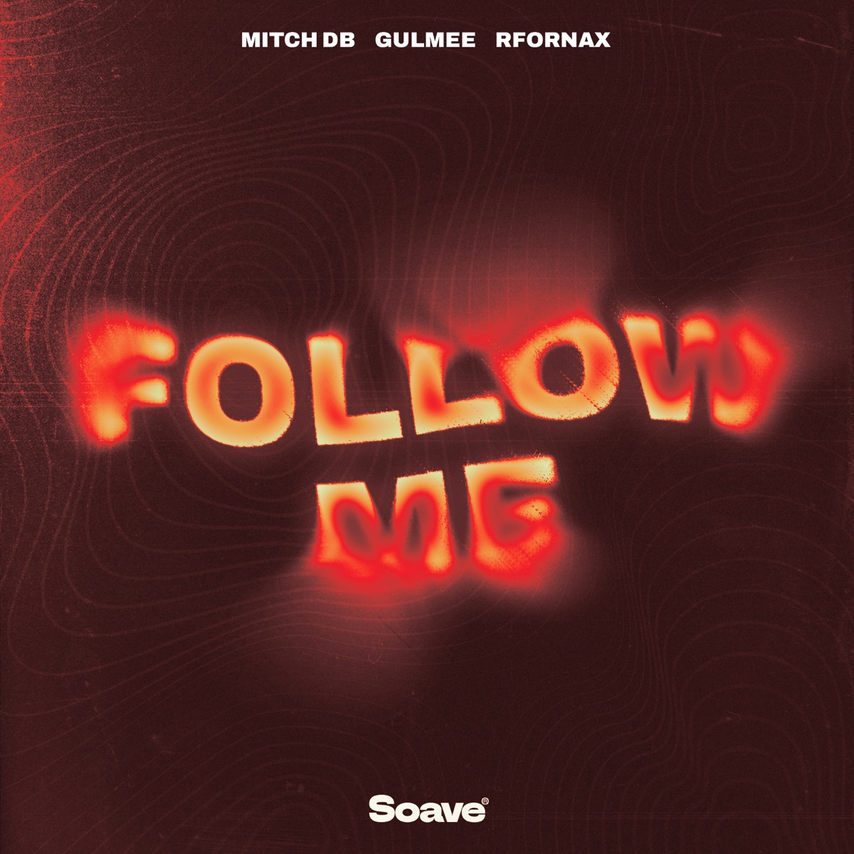 Follow Me - Single by MITCH DB, Gulmee & RFornax album cover