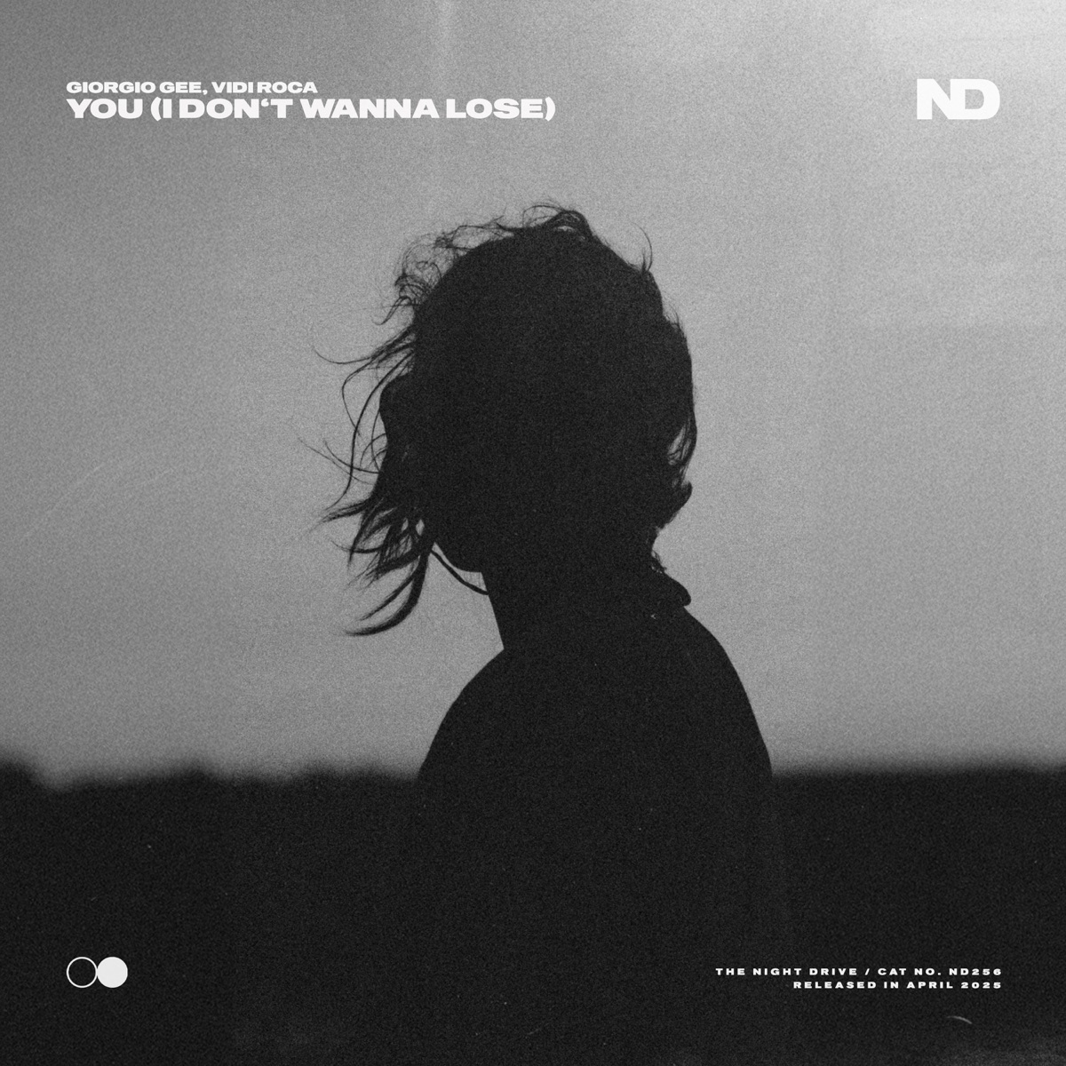 You (I Don't Wanna Lose) - Single by Giorgio Gee & vidi roca album cover