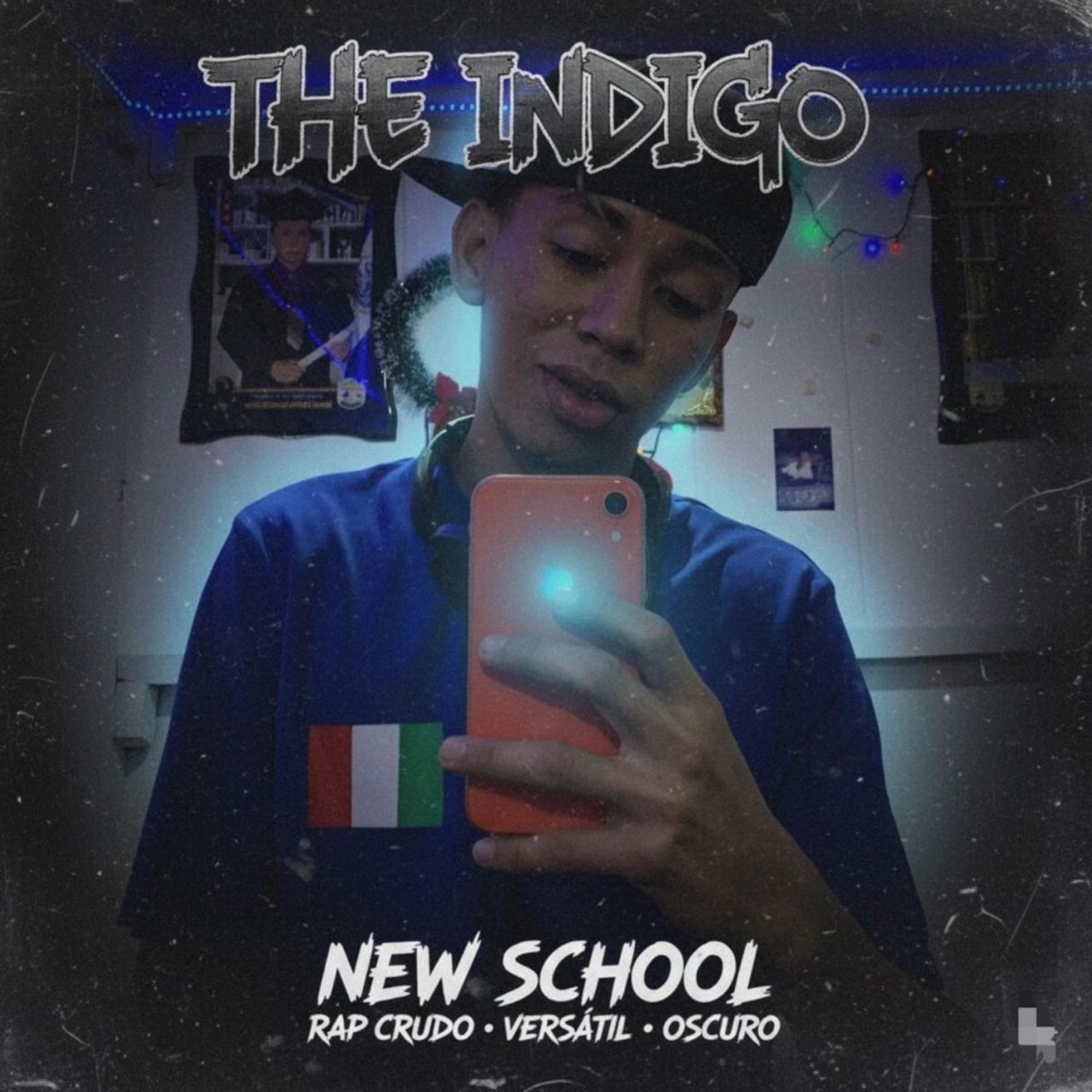 New school - Single by The indigo album cover