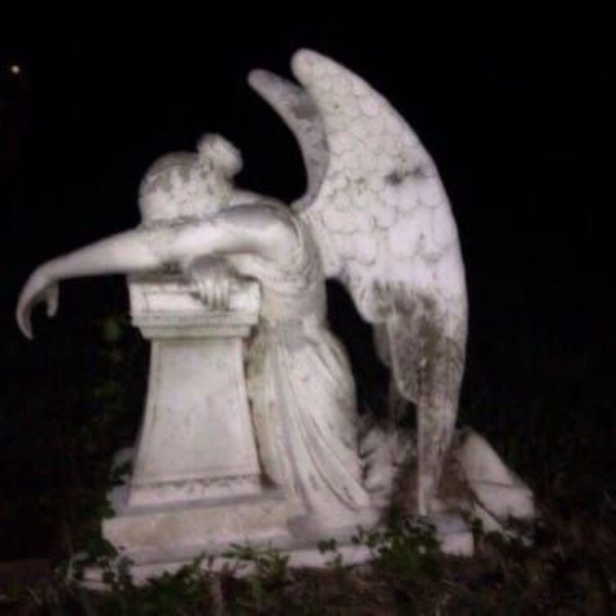 FALEN ANGEL - Single by RxynOr & Kwazar? album cover