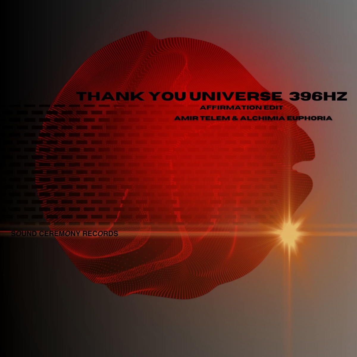 Thank You Universe 396 HZ (feat. Amir Telem) [Affirmation Edit] - Single by Alchimia Euphoria album cover
