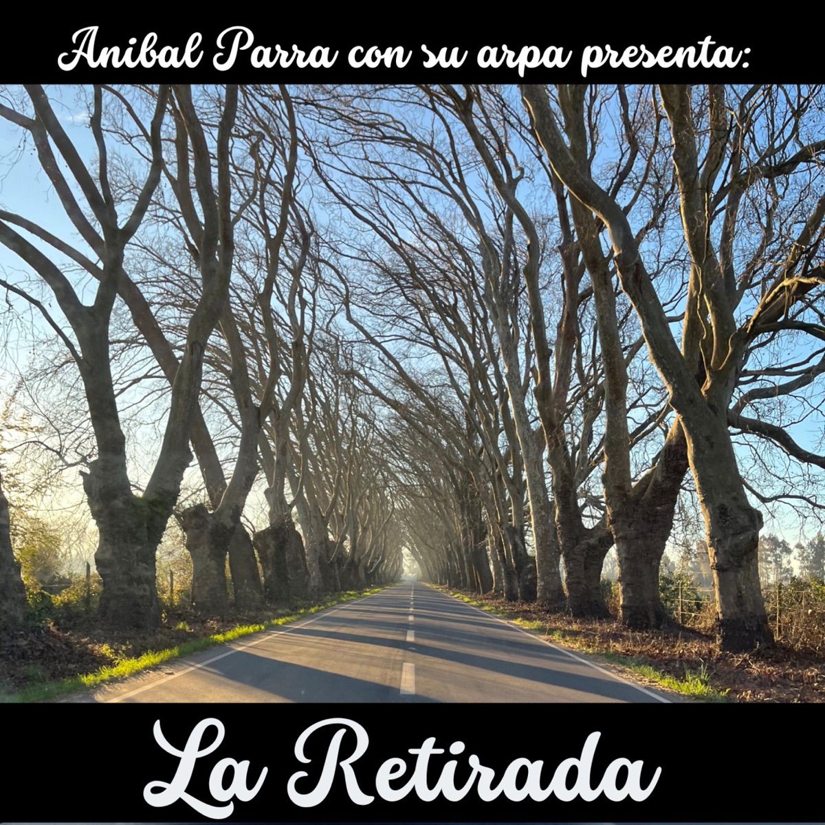 La Retirada - Single by Anibal Parra con su Arpa album cover