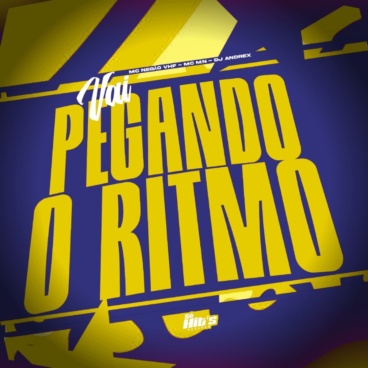 Vai Pegando o Ritmo - Single by DJ ANDREX, Mc Negão VHF & MC MN album cover