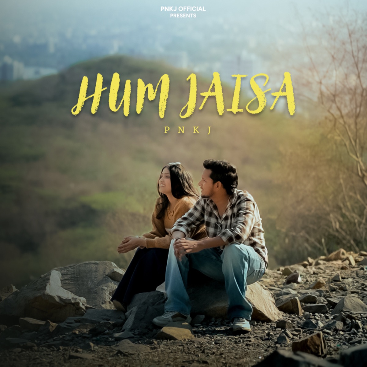 Hum Jaisa - Single by PNKJ & PRD. Flamtun album cover