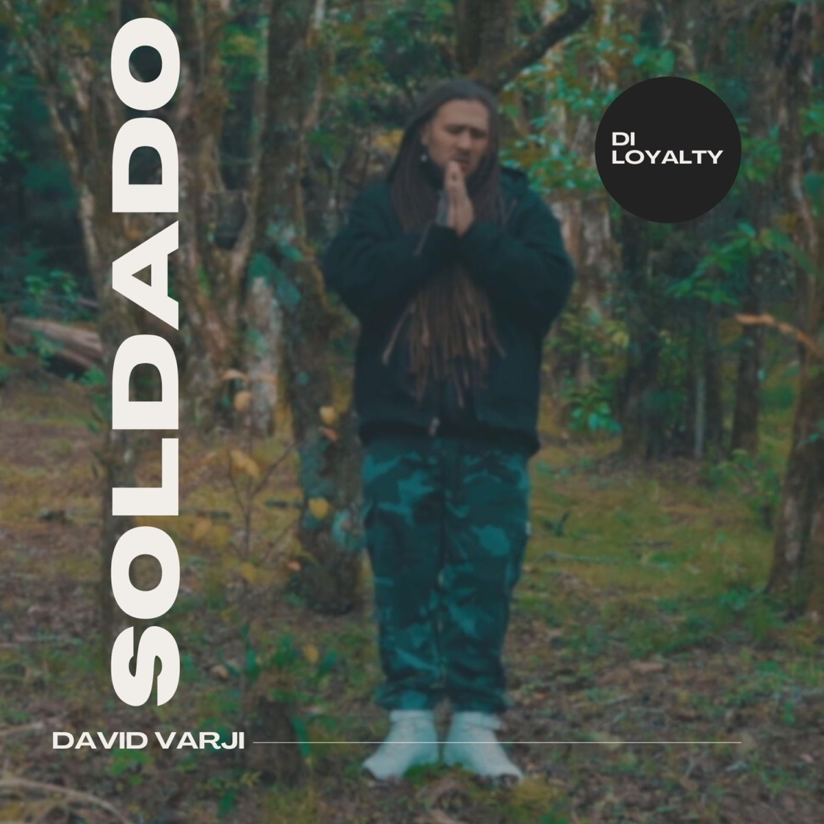 SOLDADO - Single by David Varji album cover