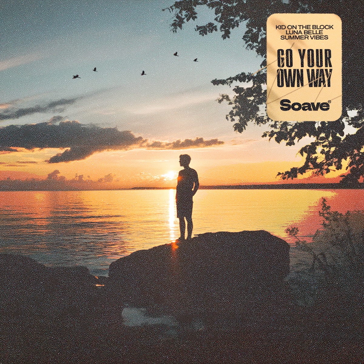 Go Your Own Way - Single by Kid On The Block, Luna Belle & Summer Vibes album cover