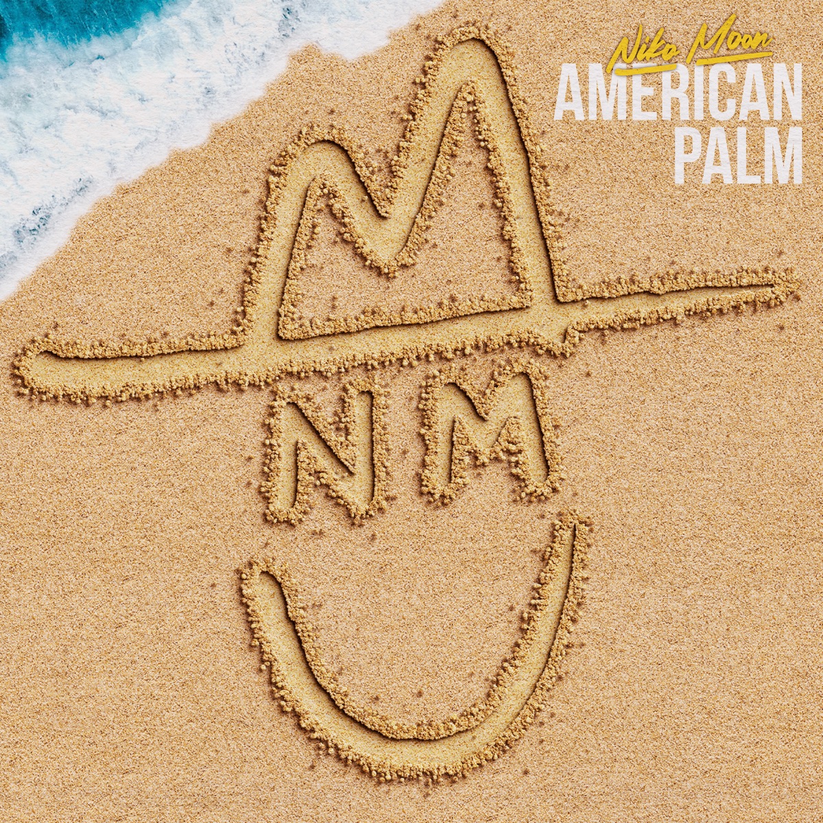 AMERICAN PALM by Niko Moon album cover