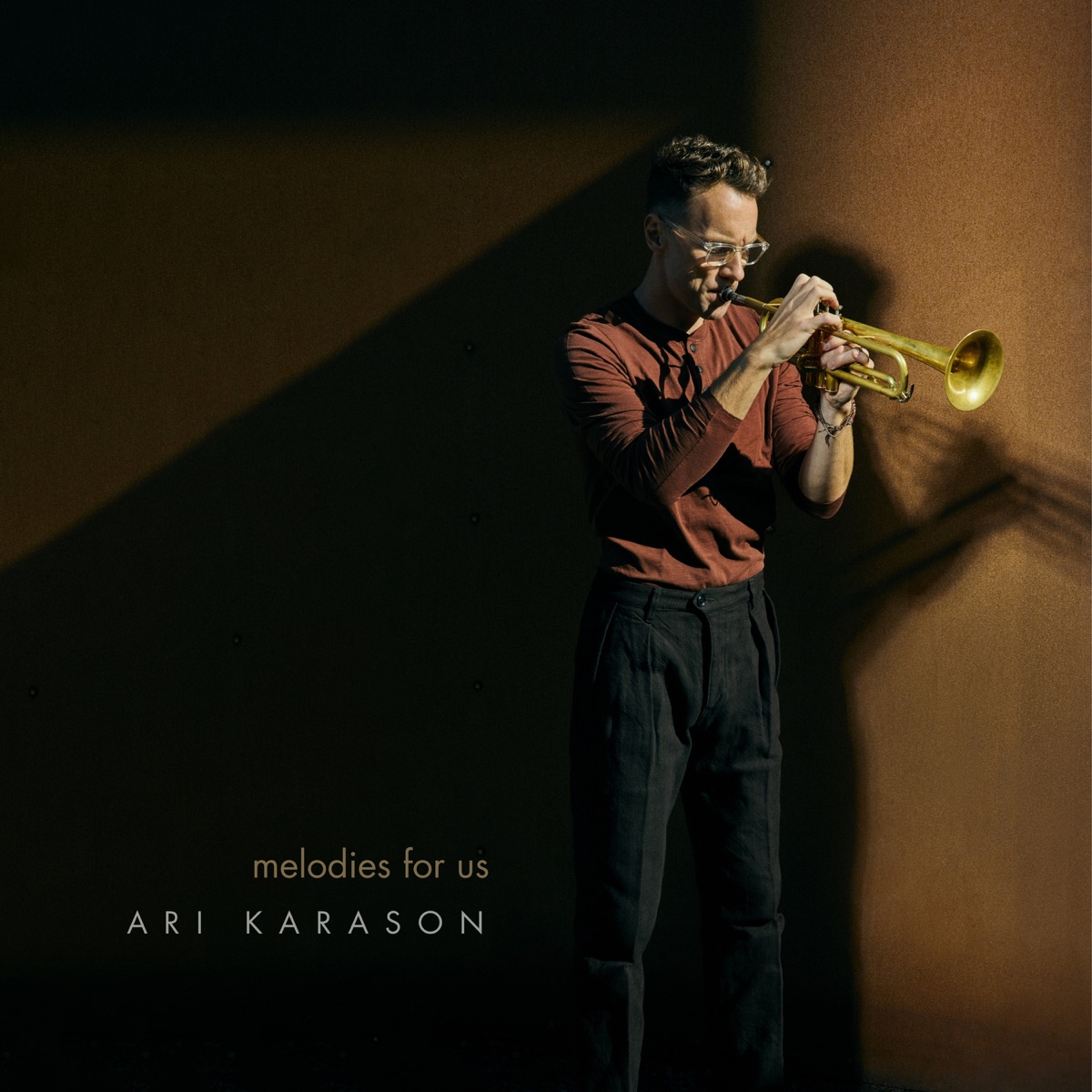 Melodies for us by Ari Bragi Kárason album cover