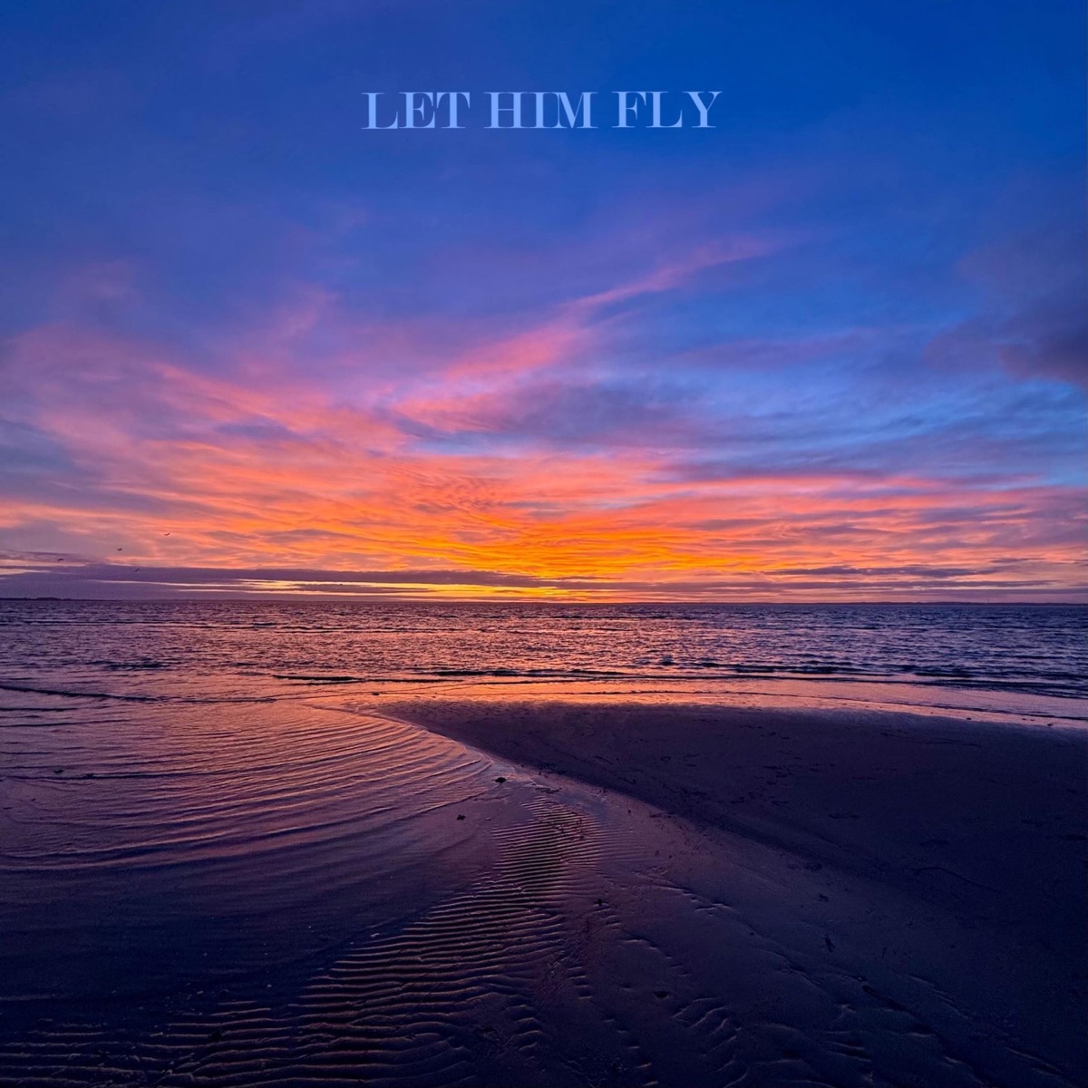 Let Him Fly - Single by Viv&Andy album cover