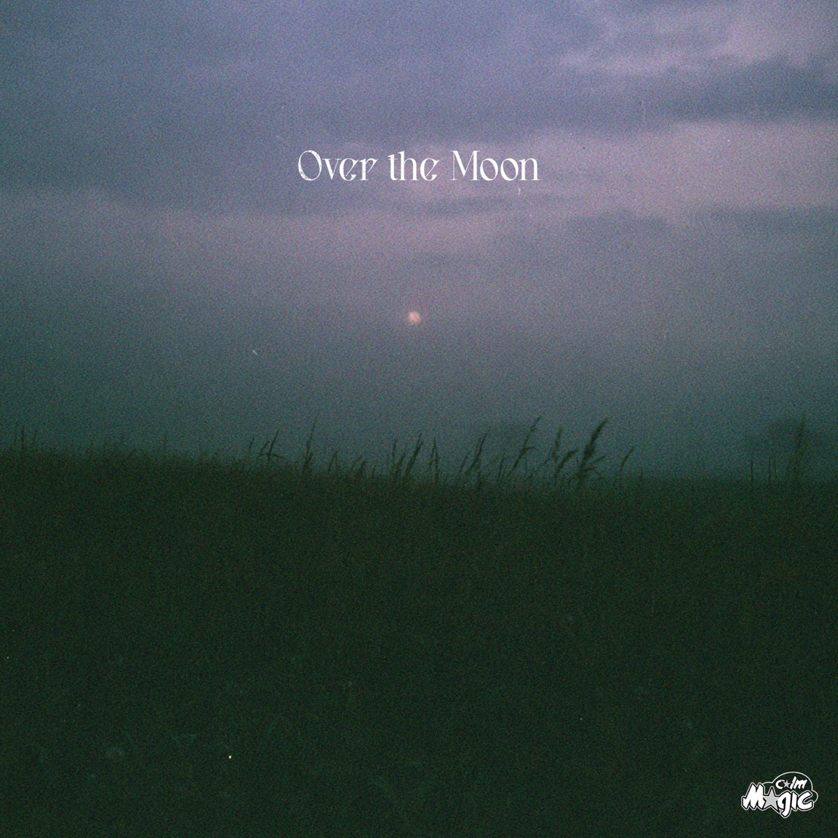 Over the Moon - Single by Paju, Brø & Akīn album cover