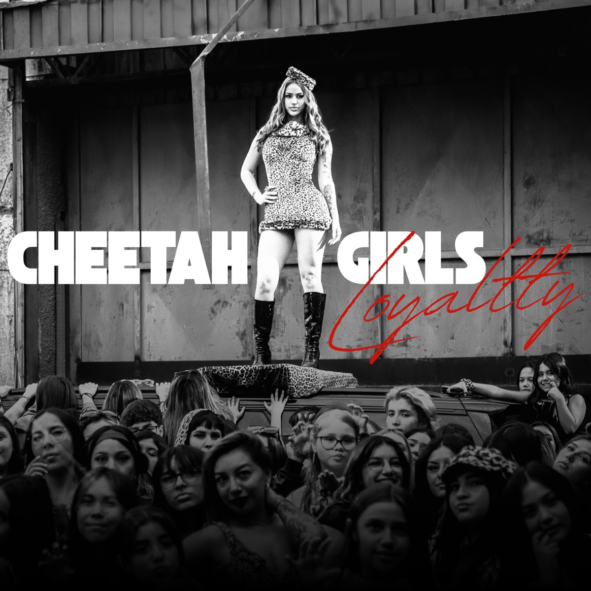 CHEETAHGIRLS - Single by Loyaltty & Lewis Somes album cover