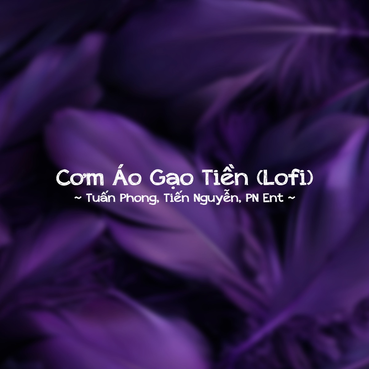 Cơm Áo Gạo Tiền (Lofi) - Single by Tuấn Phong, Tiến Nguyễn & PN Ent album cover