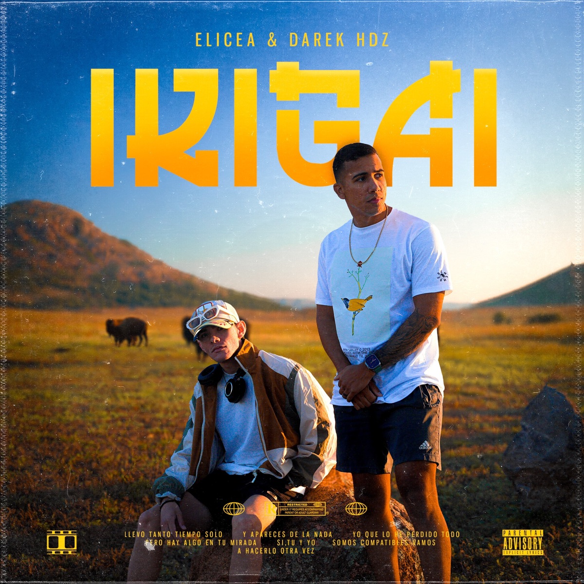 Ikigai - Single by Darek Hdz & Elicea album cover