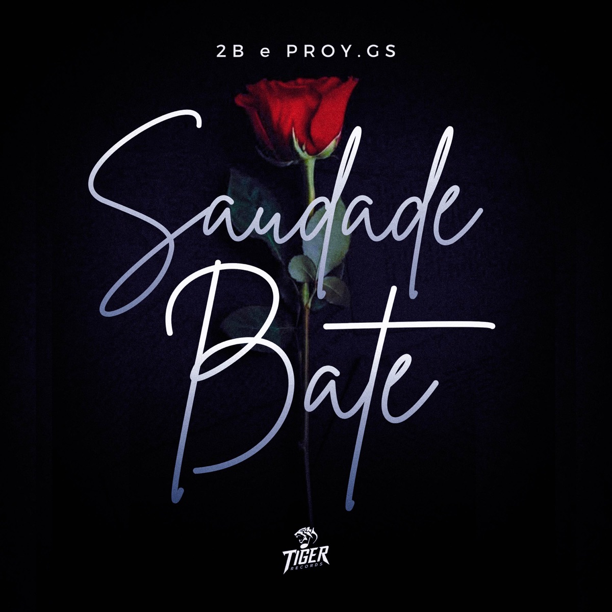 Saudade Bate - Single by 2B NAVOZ & Prody.Gs album cover