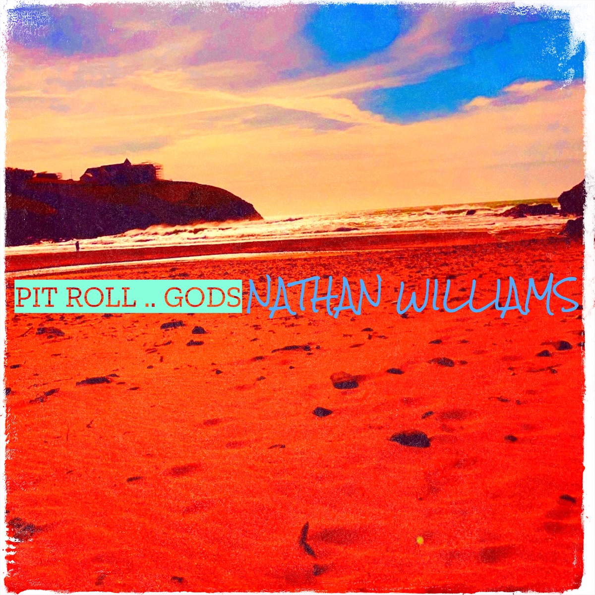 Pit Roll .. Gods by Nathan Williams album cover