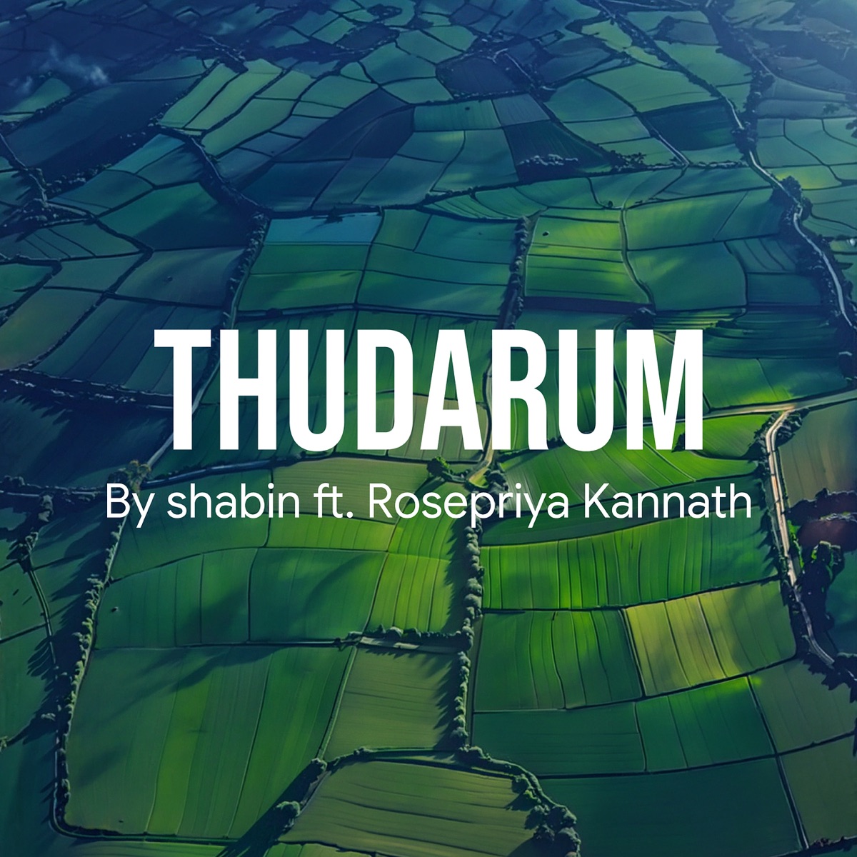 Thudarum (feat. Rosepriya Kannath) - Single by Shabin album cover
