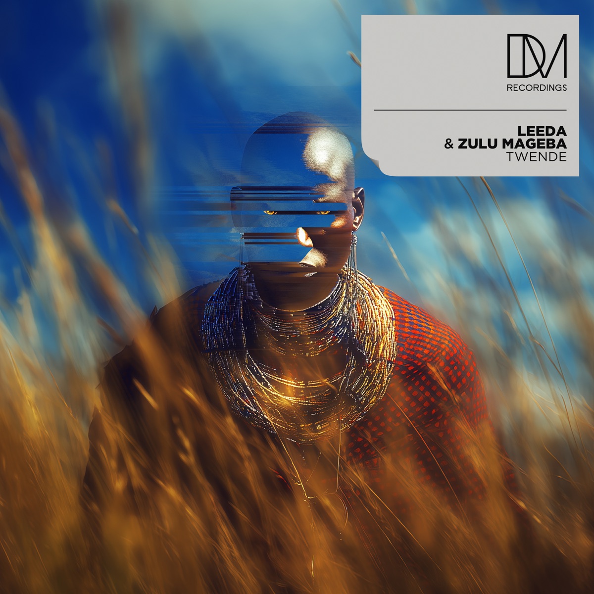 Twende - Single by Leeda & Zulu Mageba album cover
