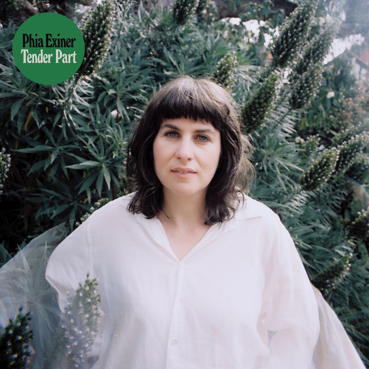 Tender Part - Single by Phia album cover