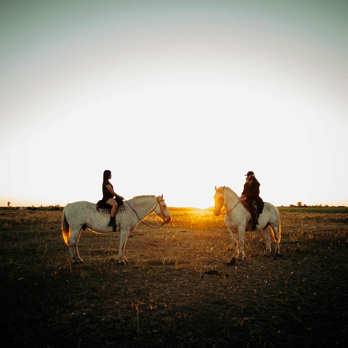 Pasajero - Single by Netto Georges & Dani Rodríguez album cover