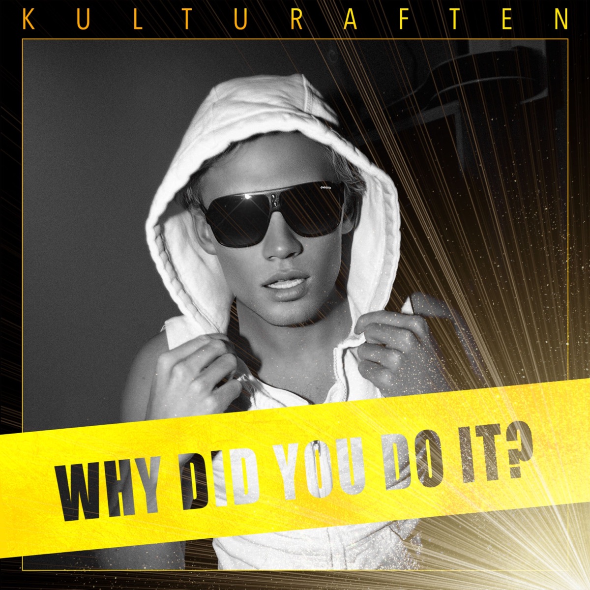 Why did you do it? (Frelst) - Single by Kulturaften & Lille Saus album cover