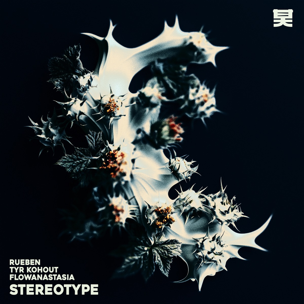 Stereotype - Single by Rueben, Tyr Kohout & flowanastasia album cover