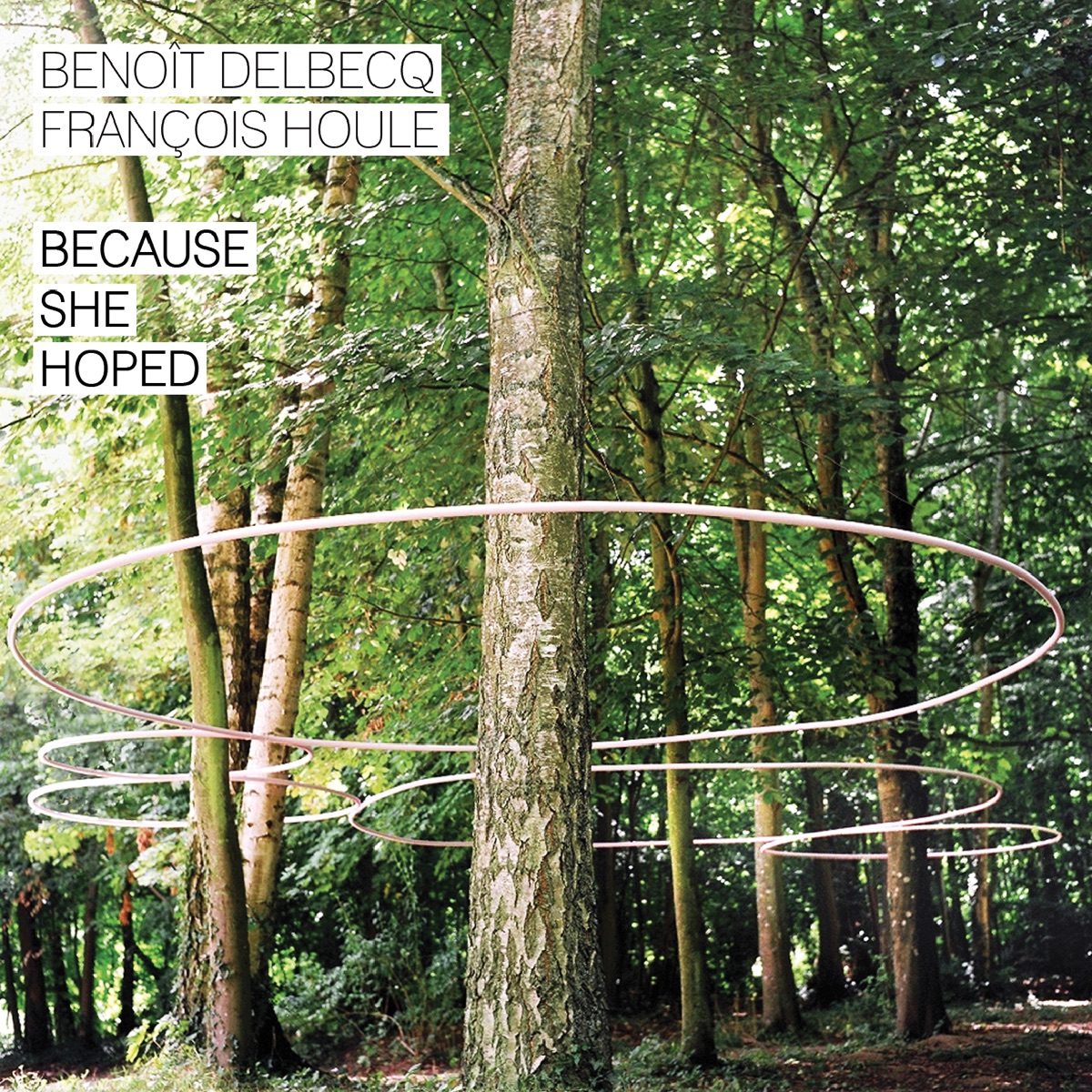 Because She Hoped by Benoît Delbecq & Francois Houle album cover