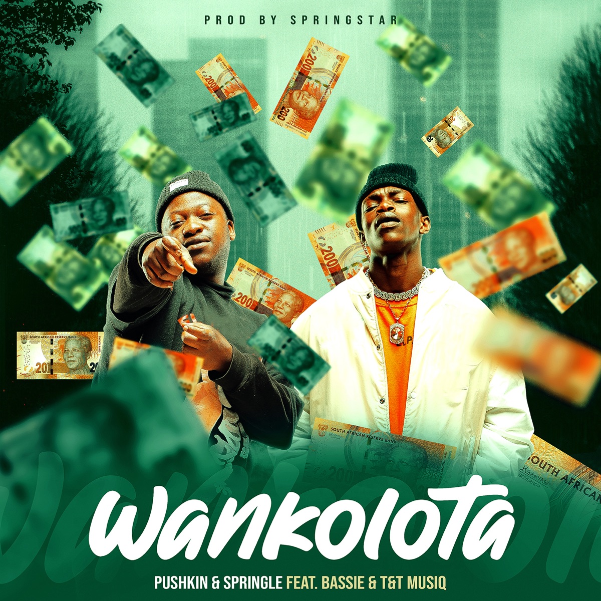 Wankolota (feat. Bassie, T&T Muziq) - Single by Pushkin RSA & Springle album cover