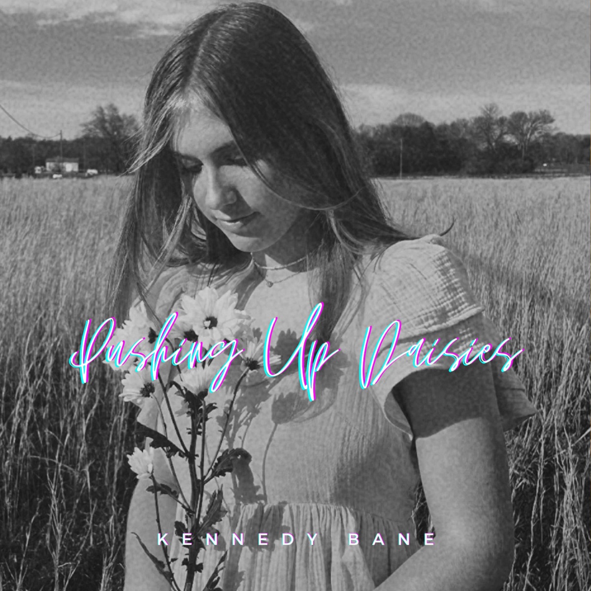 Pushing Up Daisies - Single by Kennedy Bane album cover