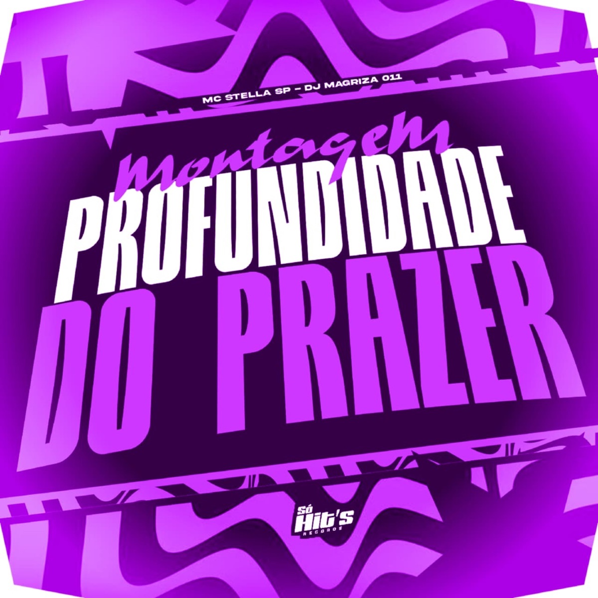 Montagem Profundidade do Prazer - Single by DJ MAGRIZA 011 & Mc Stella Sp album cover