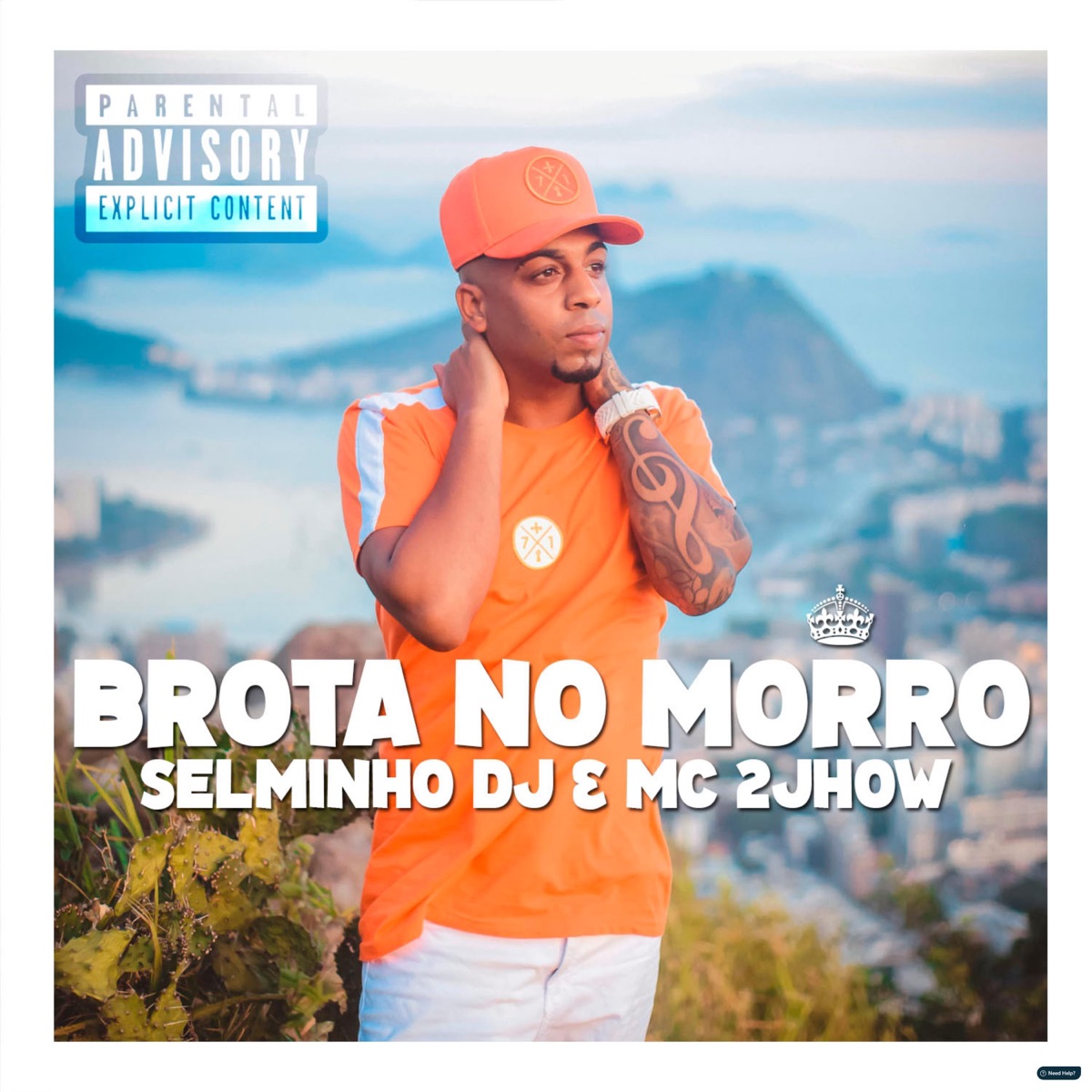 Brota no Morro (feat. MC 2jhow) - Single by Selminho DJ album cover