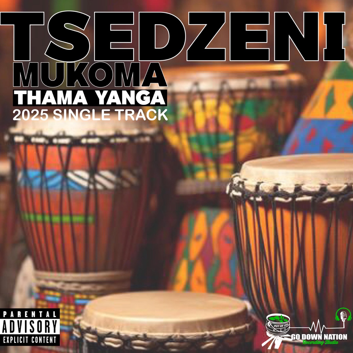 Tsedzeni Mukoma _ Thama Yanga - Single by Go Down Nation album cover