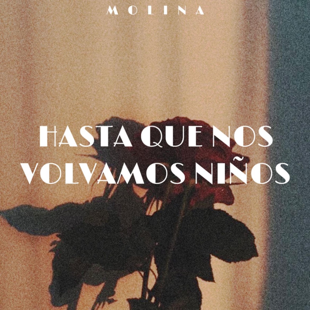 Hasta que nos volvamos niños - Single by Molina album cover