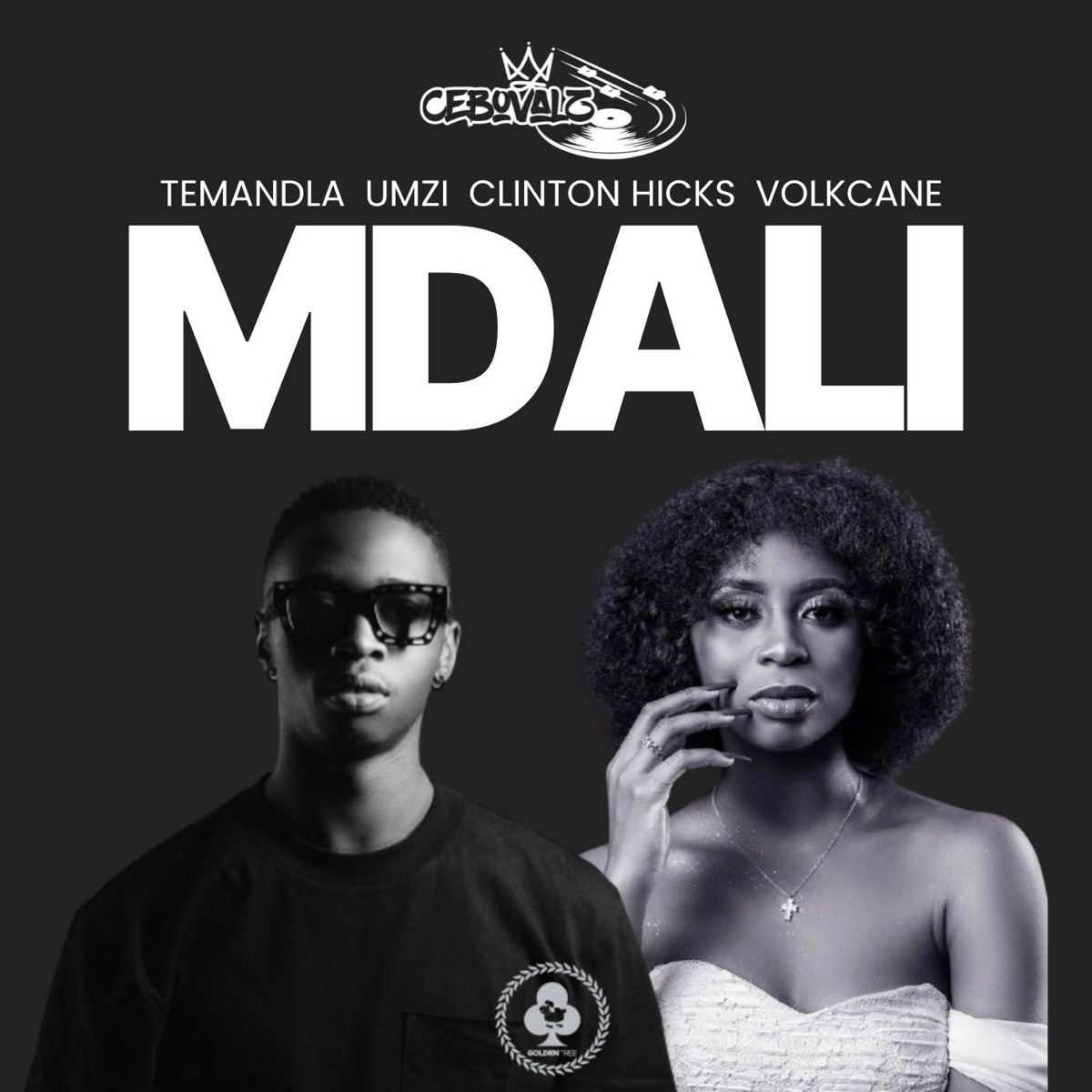 Mdali (feat. umzi, Clinton Hicks & Volkcane) - Single by CeboValz & Temandla album cover