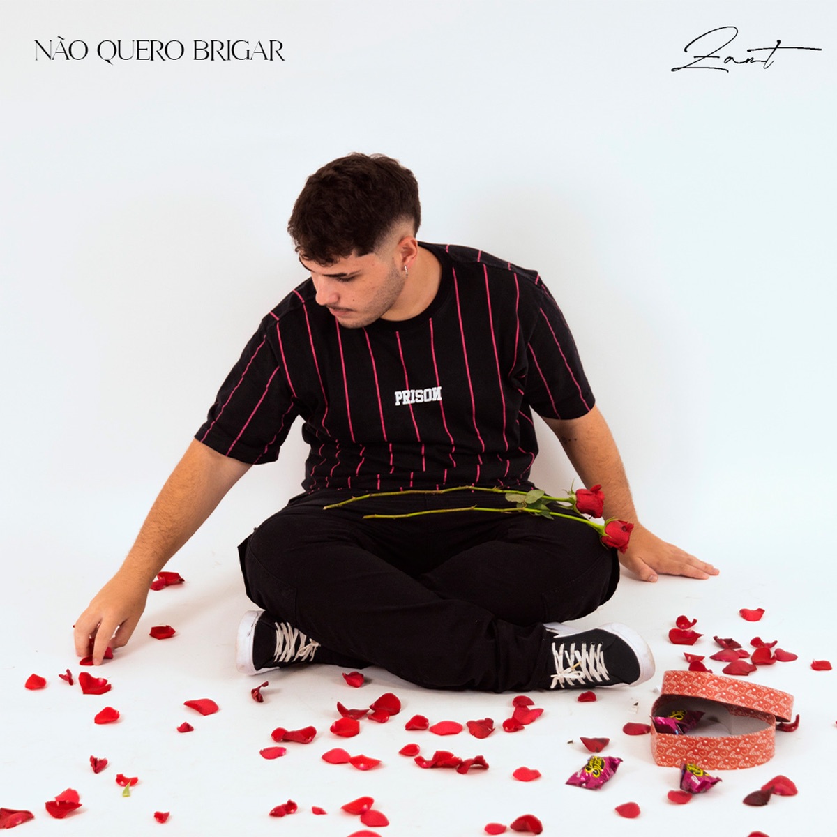 Não Quero Brigar - Single by Zant & Lina album cover