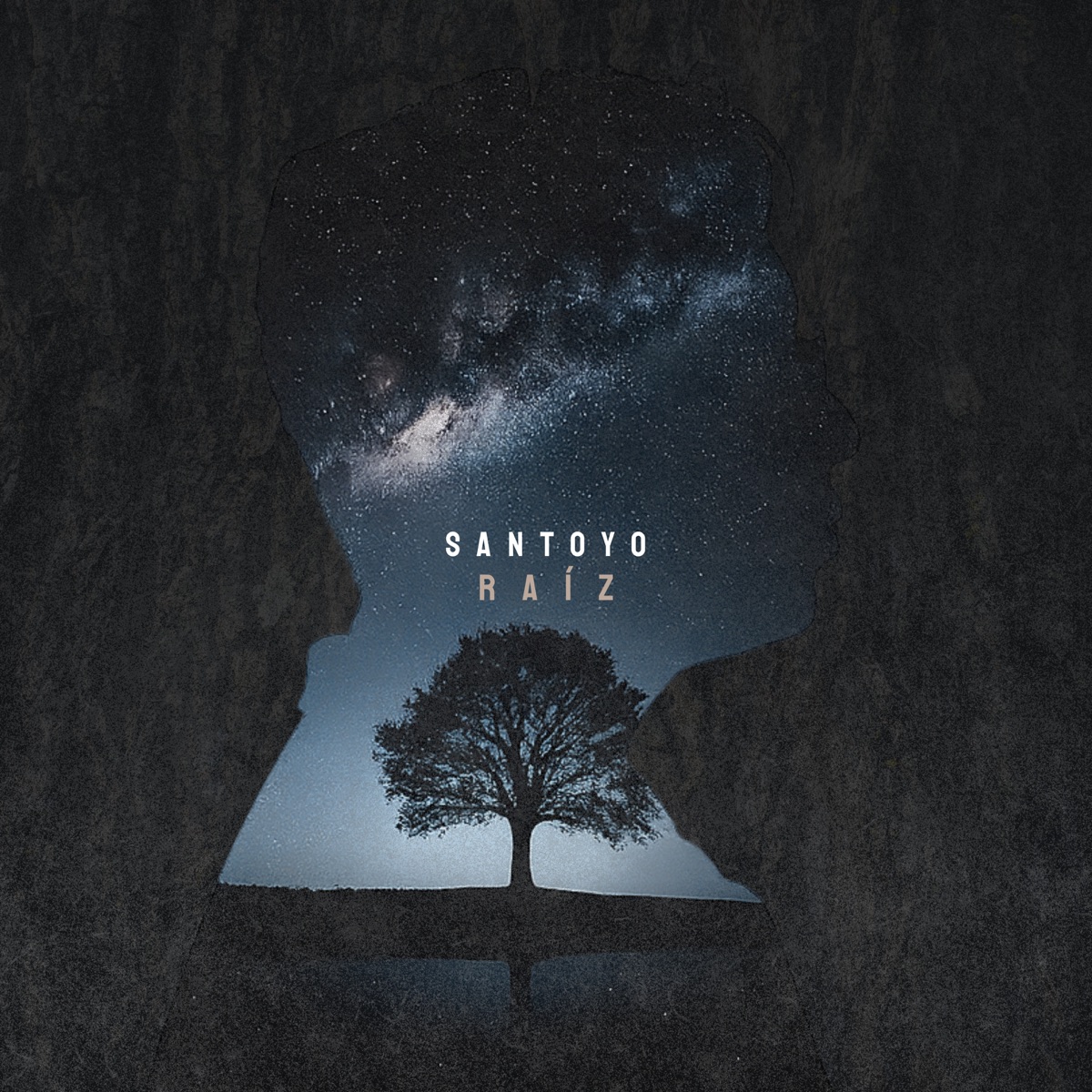 Raíz - Single by Santoyo album cover