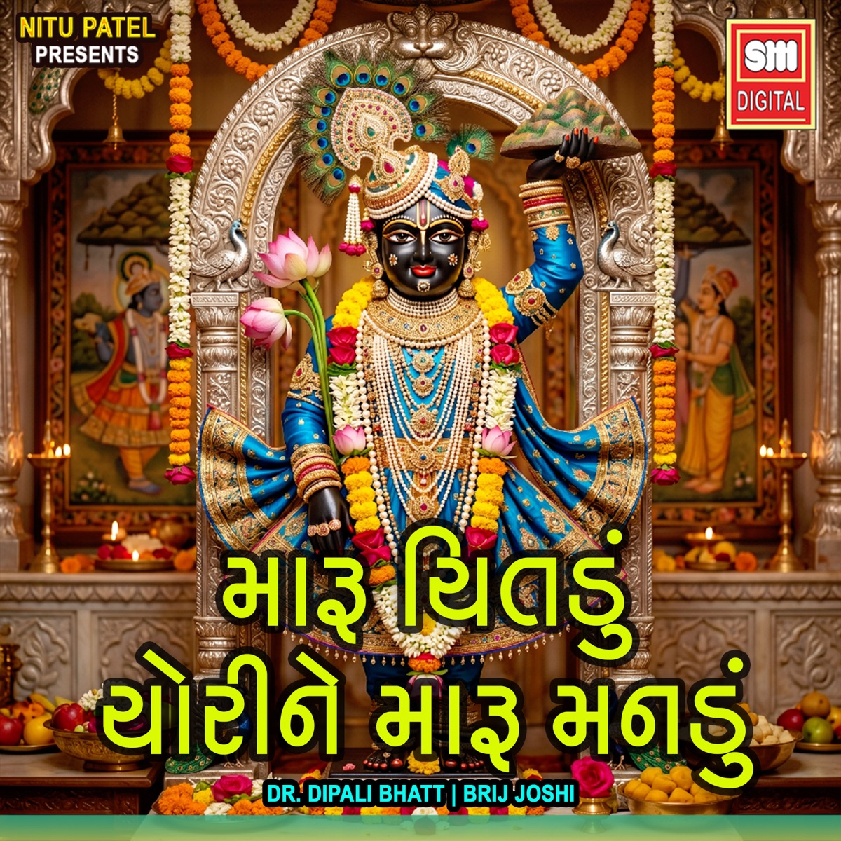 Maru Chitadu Chorine Maru Mandu - Single by Dr. Dipali Bhatt & Brij Joshi album cover