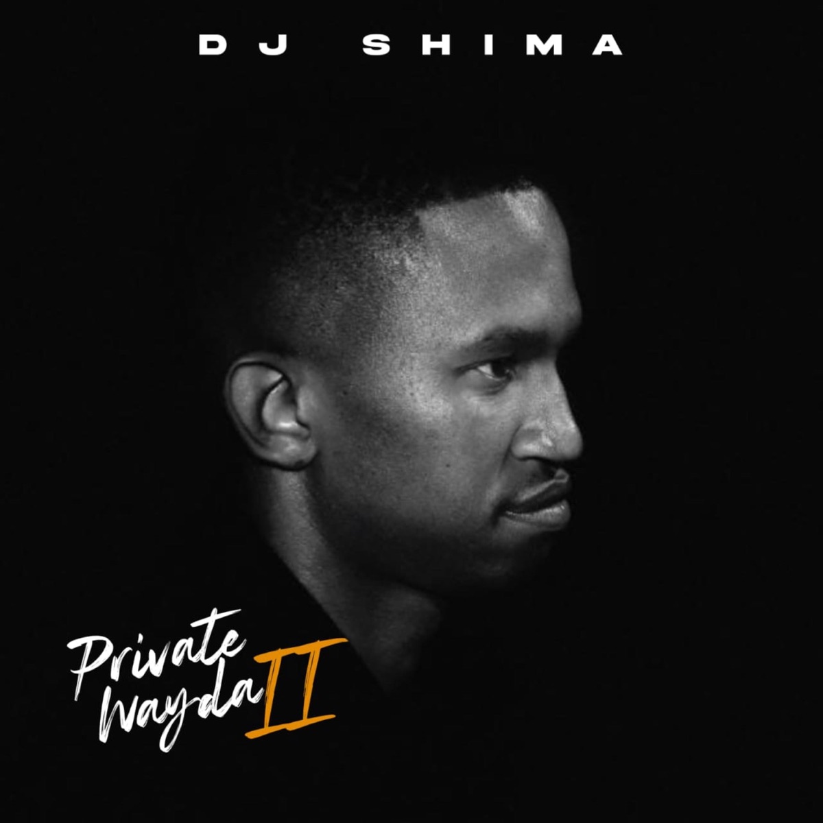 Private Wayda II by Dj Shima album cover