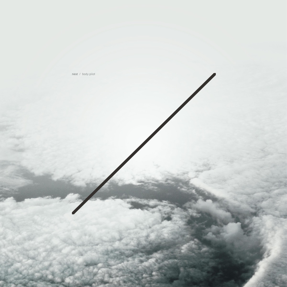 Body Pilot - EP by Nest album cover