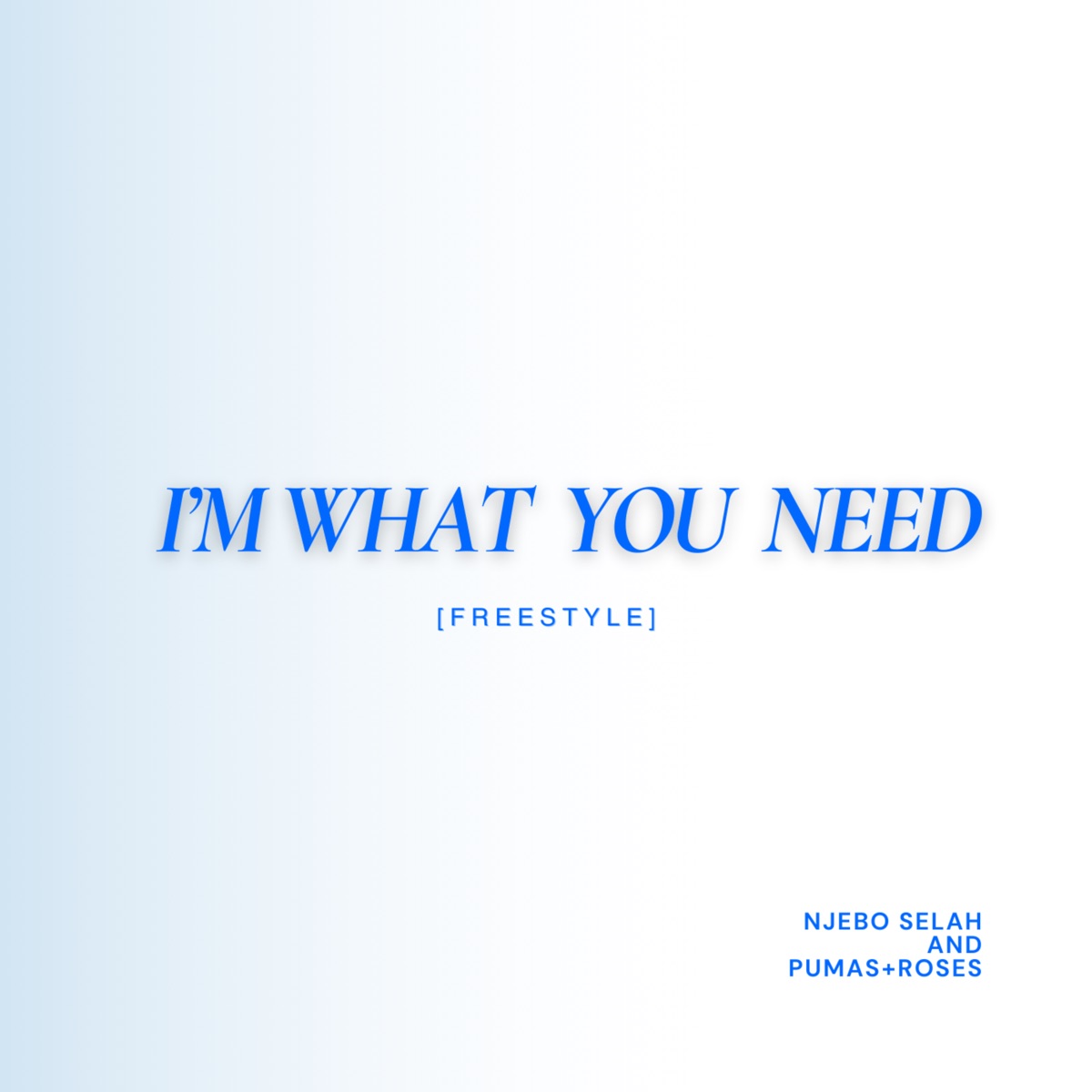 I'M WHAT YOU NEED [ FREESTYLE] [feat. Pumas+Roses] - Single by Njebo Selah album cover