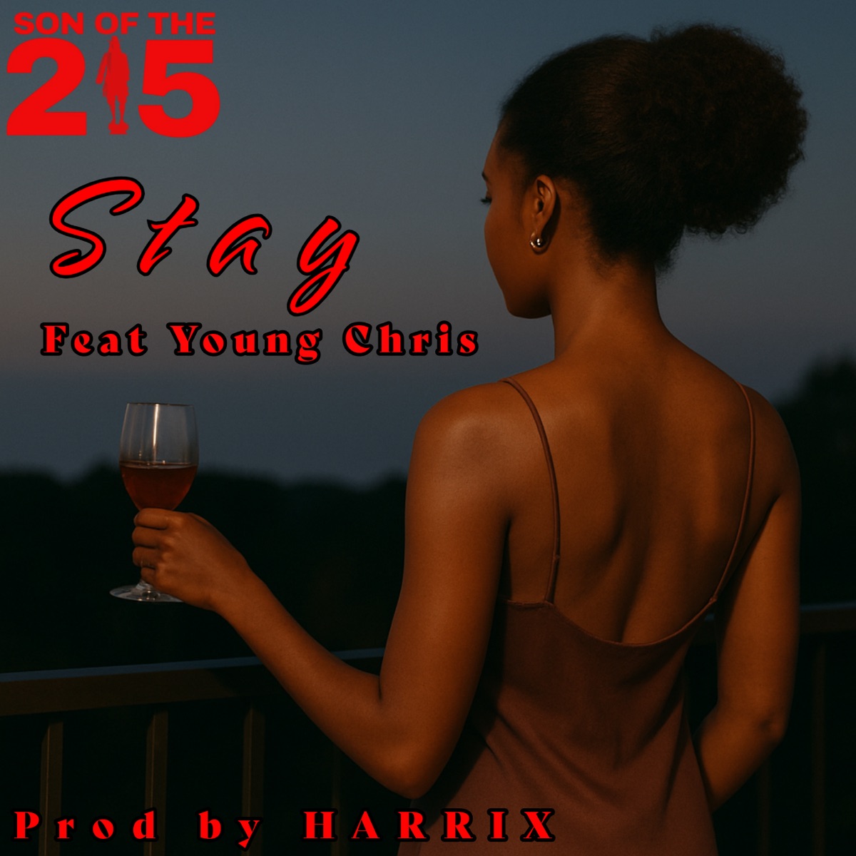 Stay (feat. Young Chris) [Radio Edit] - Single by Son of the 215 album cover
