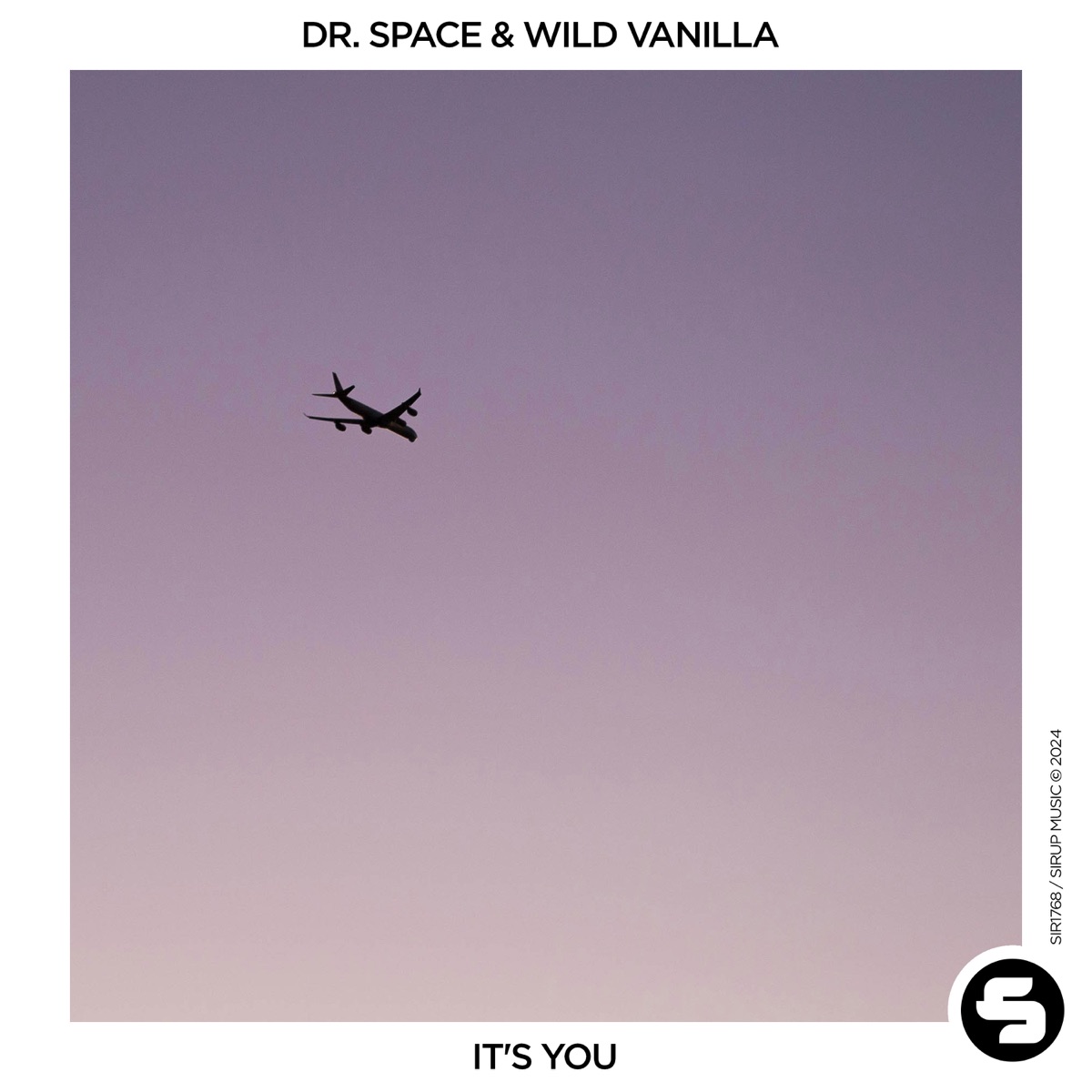It's You - Single by Dr. Space & WILD VANILLA album cover