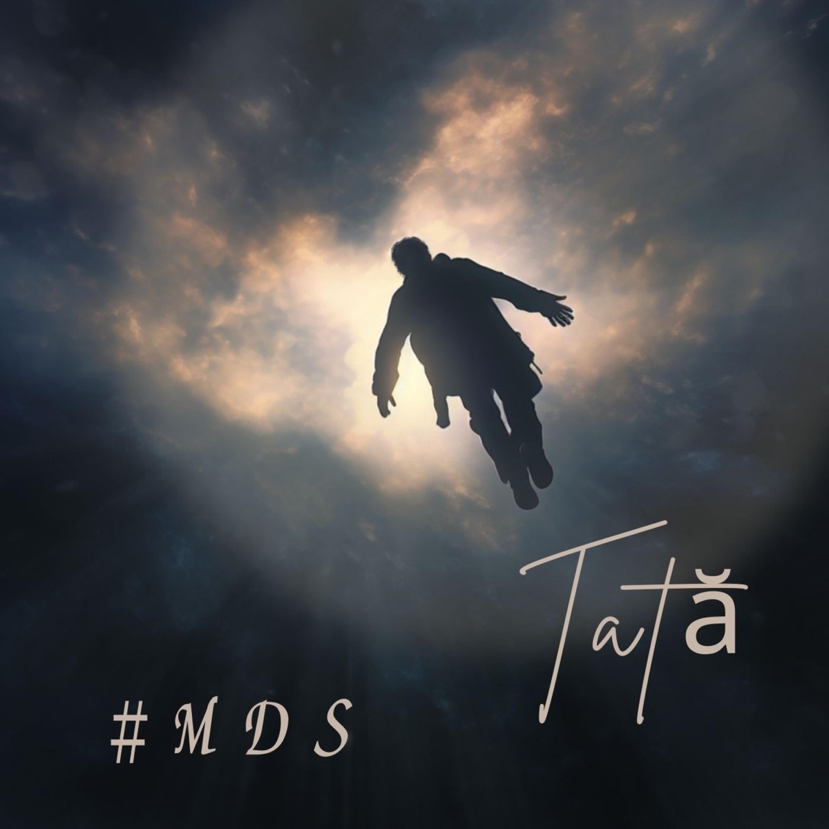 Tată (feat. #MDS) - Single by Piciu MC album cover