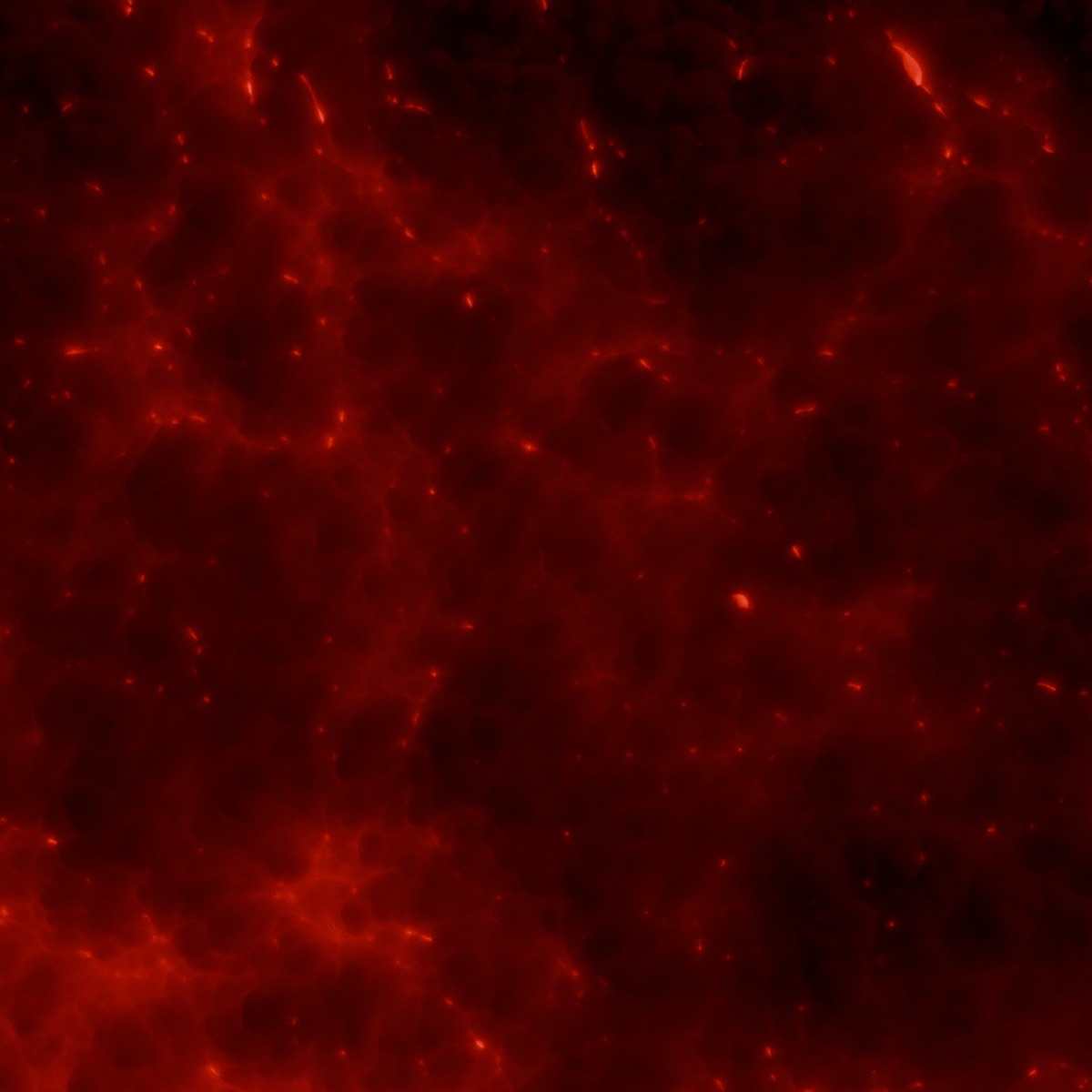 Parasomnias by presidiomodelo album cover