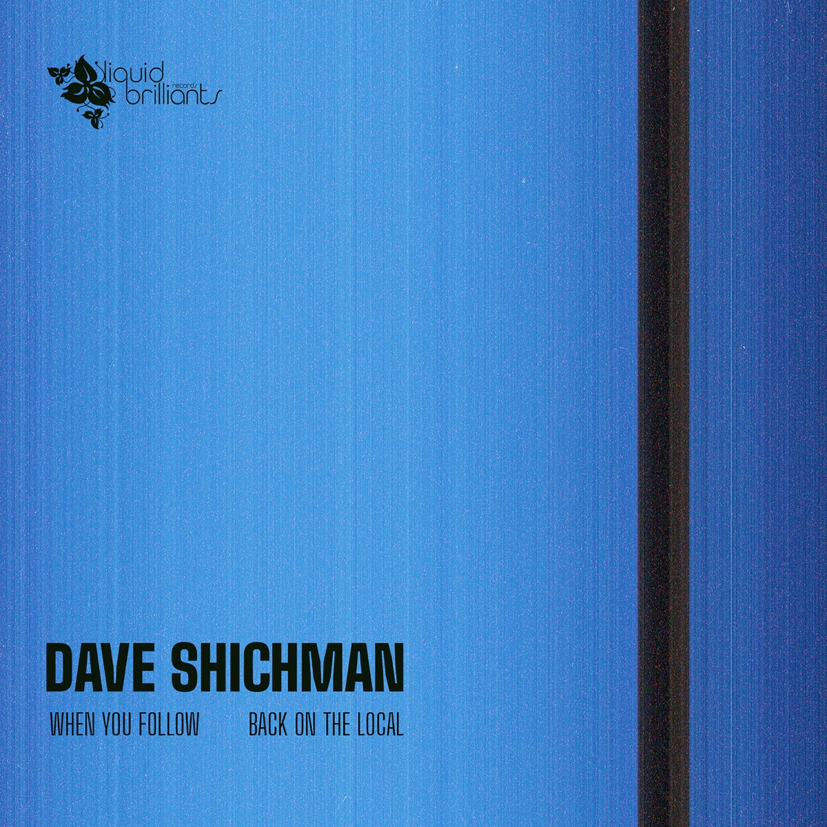When You Follow - Single by Dave Shichman album cover
