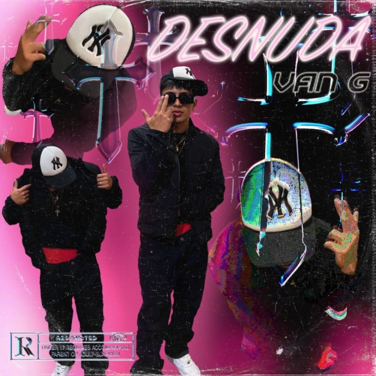Desnuda - Single by VAN_G album cover
