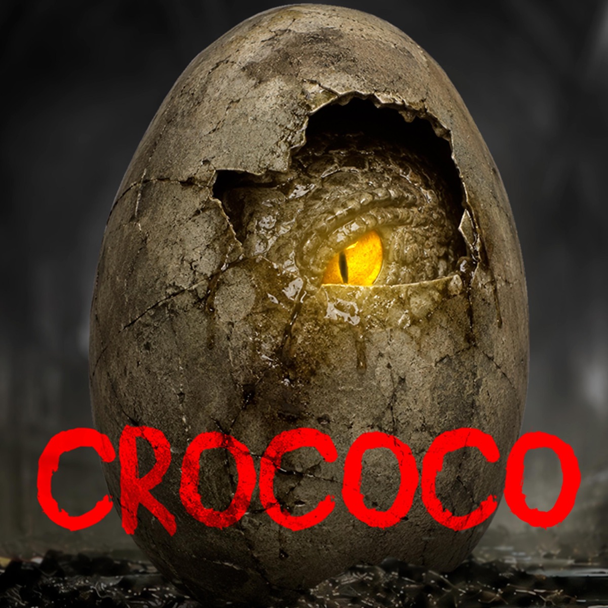 My Name Is Crocodilo - Single by CROCOCO album cover