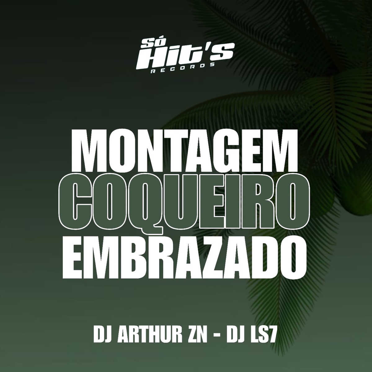 Montagem Coqueiro Embrazado - Single by DJ ARTHUR ZN & DJ LS7 album cover